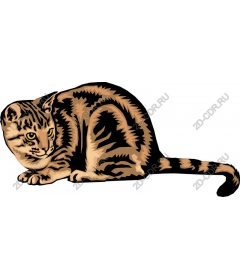  Stylized cat