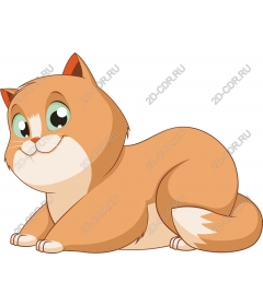  Cute cartoon cat