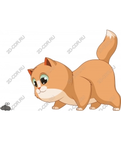  Curious cat and mouse