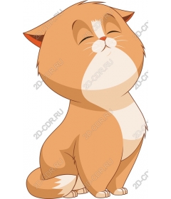  Charming orange cat