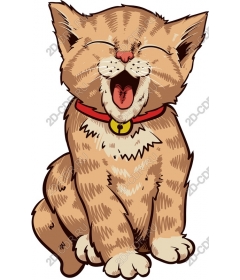 Funny red cat