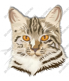  Величественный Кот