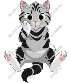  Charming grey tabby cat
