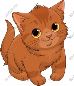  Cute orange kitten