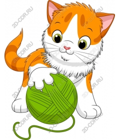  Cute playful kitten with yarn
