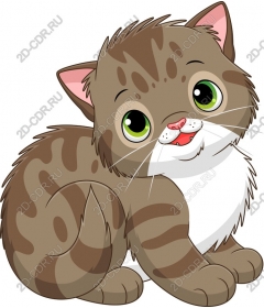  Игривый кот