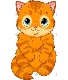  Charming orange cat