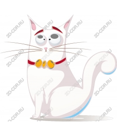  Charming white cat