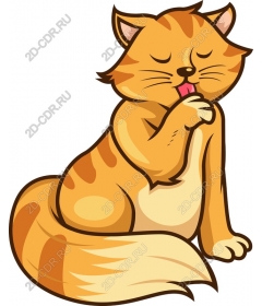  Charming red cat