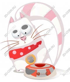  Fancy Cat