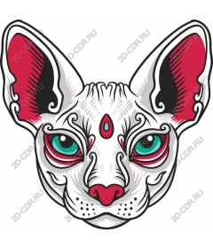  Charming cat face
