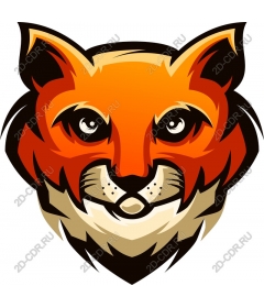  Bright Fox head
