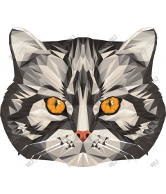 Portrait of a multi-faceted cat