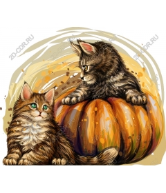  Charming duo of cats on a pumpkin
