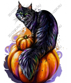  Black cat on pumpkin works