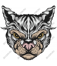 The head of a ferocious lynx