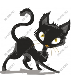  Charming black cat