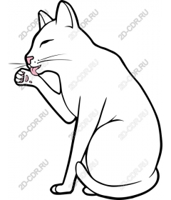  Игривый кот
