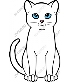  Charming white cat