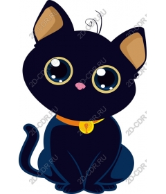  Charming black cat