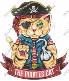 Pirate Cat