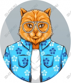  Fashionable feline