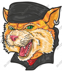 Свирепый кот