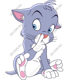 Playful kitten