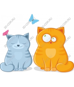  Adorable cats
