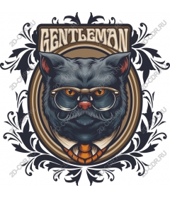  The gentleman Cat