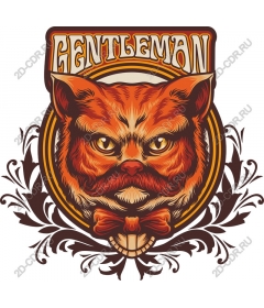 The gentleman Cat