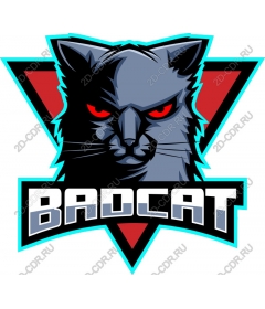  Bad Cat