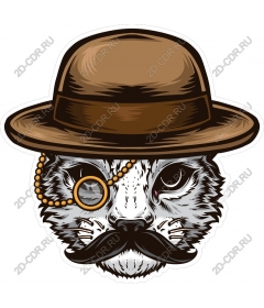  Dapper cat