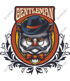 The gentleman Cat
