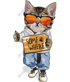  Cool cat on the go