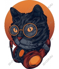  Кот-хипстер в наушниках