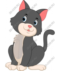 Playful cat