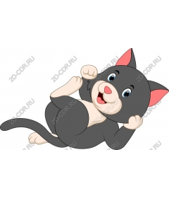 Playful gray kitten