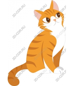  Игривый оранжевый кот