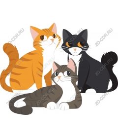 Трио друзей-кошек