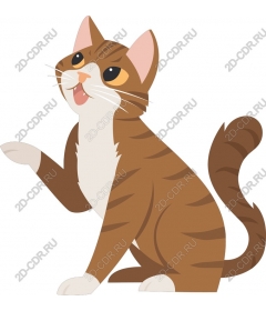  Игривый кот