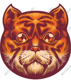 Яркая мордашка кошки