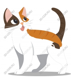  Игривый кот