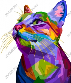  Bright geometric cat