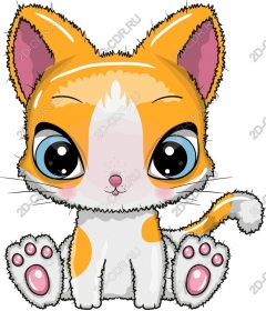  Cute cartoon cat