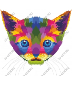  Bright cat face
