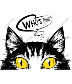  Who's there? Cat