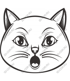  Surprised cat face