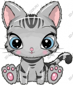 Cute gray kitten