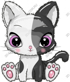 Playful kitten